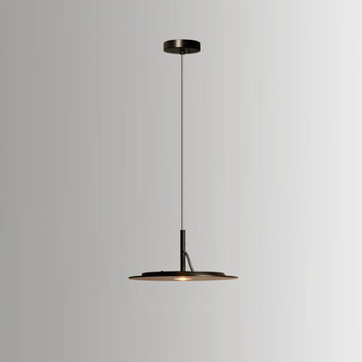 Lustre LED Rond en Fer Minimaliste Moderne pour Salon 