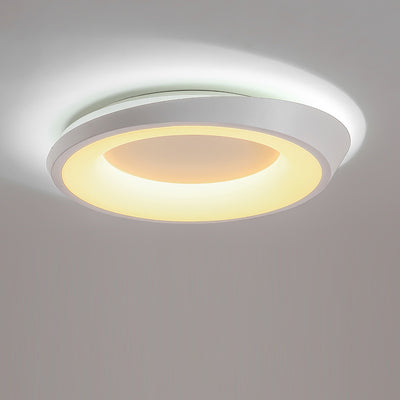 Moderne Einfachheit Unregelmäßige Runde Eisen-Hardware Acryl LED Deckenleuchte für das Schlafzimmer 