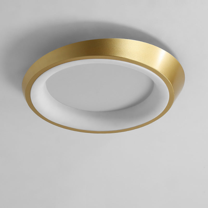 Moderne Einfachheit Unregelmäßige Runde Eisen-Hardware Acryl LED Deckenleuchte für das Schlafzimmer 