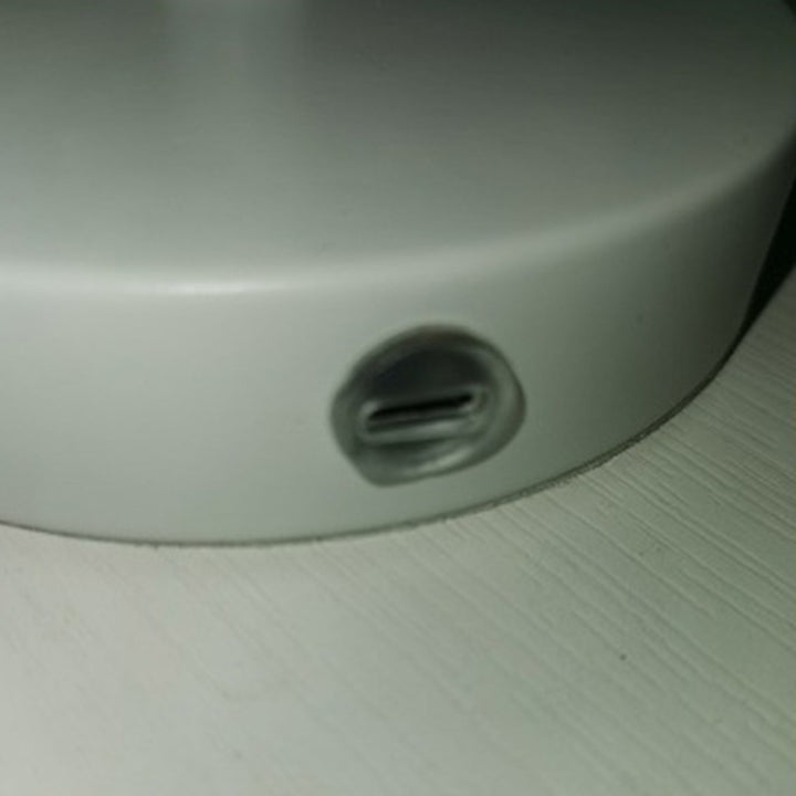 Lámpara de mesa de 1 luz con base de disco de tallo en forma de pétalo redonda moderna minimalista para dormitorio 