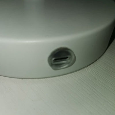 Lampe de table à 1 lumière avec base en disque, tige en forme de pétale, table ronde minimaliste moderne pour chambre à coucher 