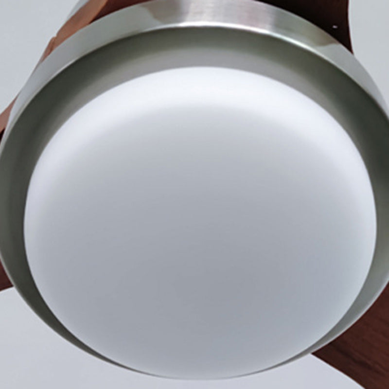 Zeitgenössischer Retro-Rundglasschirm-Deckenventilator mit LED-Downrod, Eisen- und Paulownia-Holzflügeln für das Schlafzimmer 
