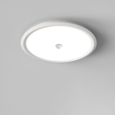 Modern Minimalist Iron Aluminum Geometric Ellipse Acrylic Shade LED Flush Mount Ceiling Light For Living Room
