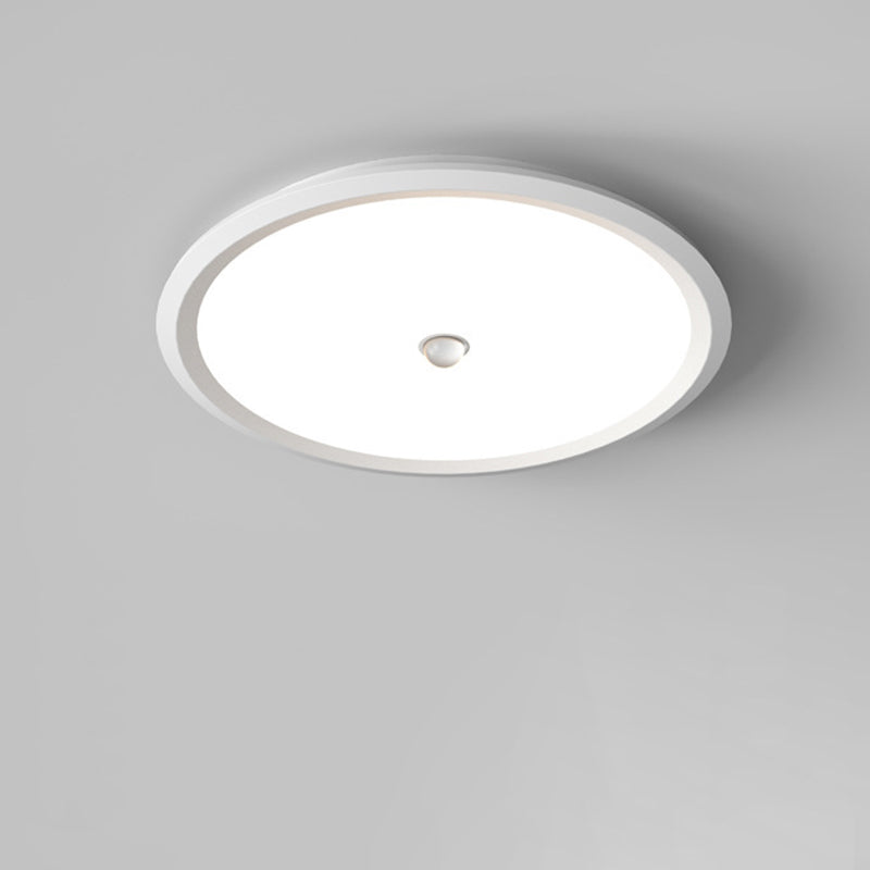 Modern Minimalist Iron Aluminum Geometric Ellipse Acrylic Shade LED Flush Mount Ceiling Light For Living Room