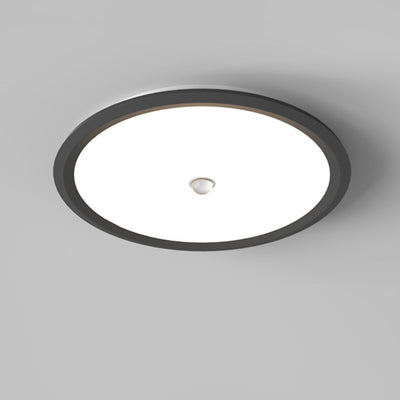 Modern Minimalist Iron Aluminum Geometric Ellipse Acrylic Shade LED Flush Mount Ceiling Light For Living Room