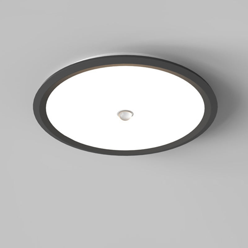 Modern Minimalist Iron Aluminum Geometric Ellipse Acrylic Shade LED Flush Mount Ceiling Light For Living Room