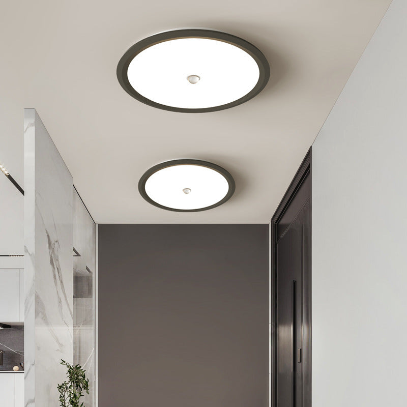 Modern Minimalist Iron Aluminum Geometric Ellipse Acrylic Shade LED Flush Mount Ceiling Light For Living Room