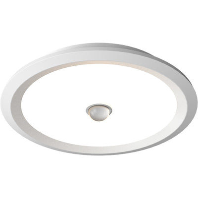 Modern Minimalist Iron Aluminum Geometric Ellipse Acrylic Shade LED Flush Mount Ceiling Light For Living Room