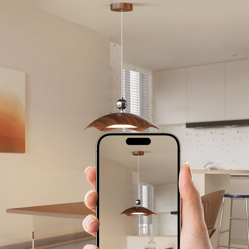 Traditional Vintage Iron PE Flying Saucer LED Pendant Light For Living Room