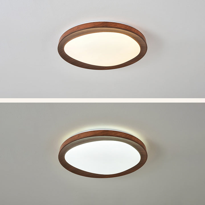 Plafonnier LED rond en fer acrylique de simplicité contemporaine pour chambre 