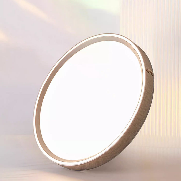 Moderne minimalistische runde Kuppel Deckenleuchte aus Aluminium, Eisen, Leder und Acryl mit LED für das Schlafzimmer 