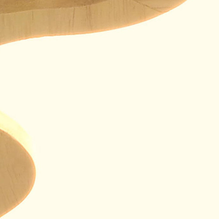 Moderne Art-Deco-Blumenform Holz Acryl LED Deckenleuchte für das Schlafzimmer 