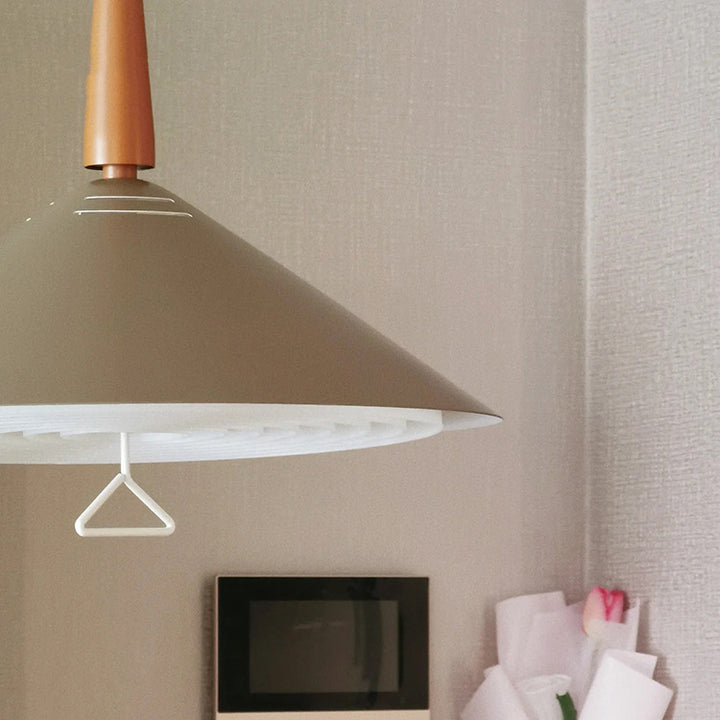 Contemporary Scandinavian Liftable Cone Round Iron 2-Light Pendant Light For Dining Room