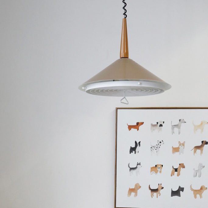 Modern Simplicity Cone Iron 2-Light Pendant Light For Bedroom
