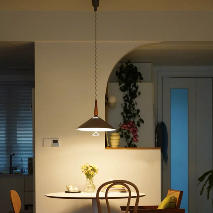 Modern Simplicity Cone Iron 2-Light Pendant Light For Bedroom