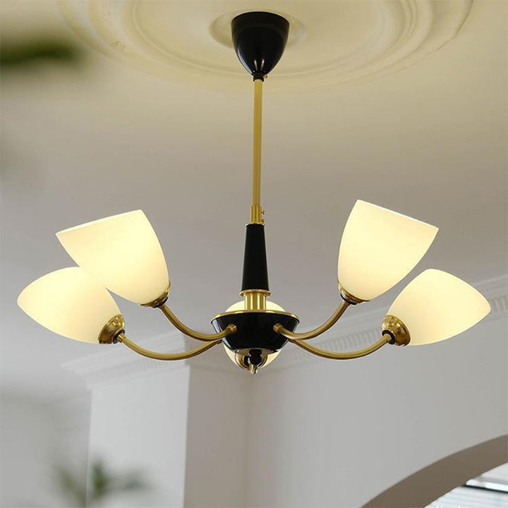 Traditional Vintage Oval Glass Brass 3/5 Light Chandelier For Living Room