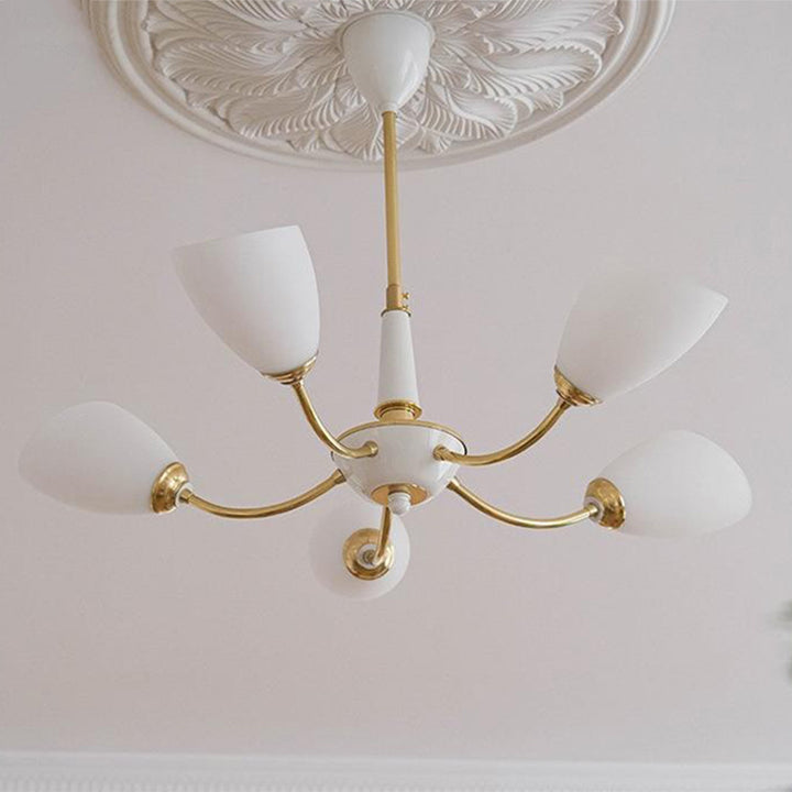 Traditional Vintage Oval Glass Brass 3/5 Light Chandelier For Living Room
