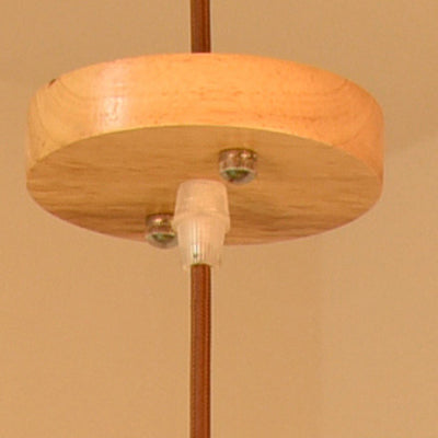 Modern Eclectic Birdcage Wood 1-Light Pendant Light For Living Room