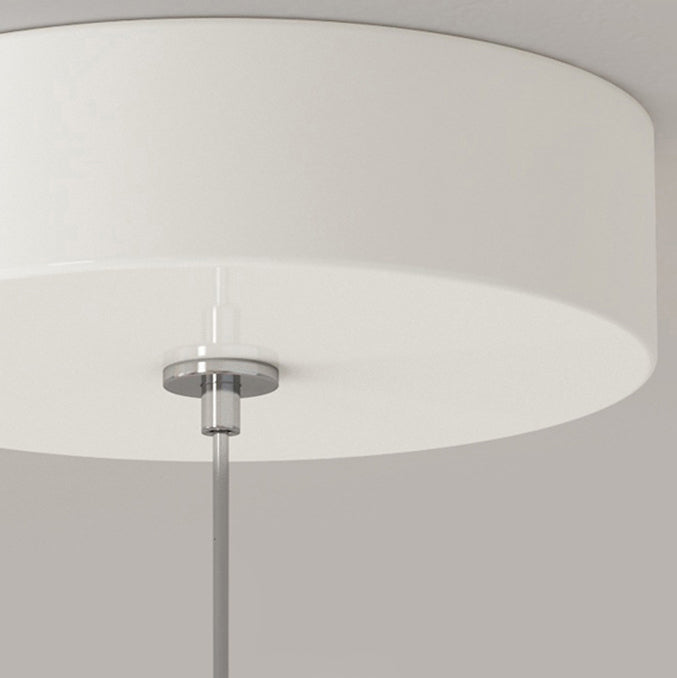 Moderne eklektische Blumen Eisen Acryl LED Pendelleuchte für Wohnzimmer 