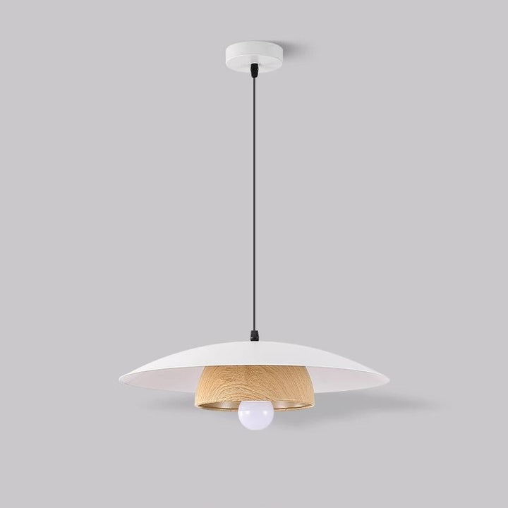 Traditionelle chinesische Holzmaserung Runde Eisen Schirm 1-Licht Pendelleuchte für Wohnzimmer 