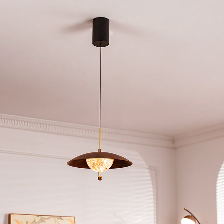 Contemporary Retro Iron Glass Round LED Pendant Light For Bedroom