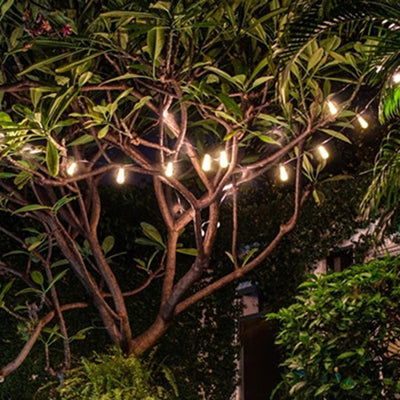Lumière de chaîne LED en verre et fer de ligne longue ronde minimaliste moderne pour jardin 