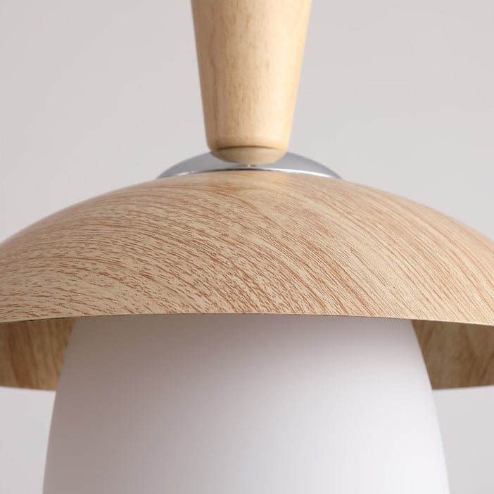 Moderne Minimaliste Rond Orbe Bol Verre Chêne Fer Suspension 1 Lumière Pour Salon 