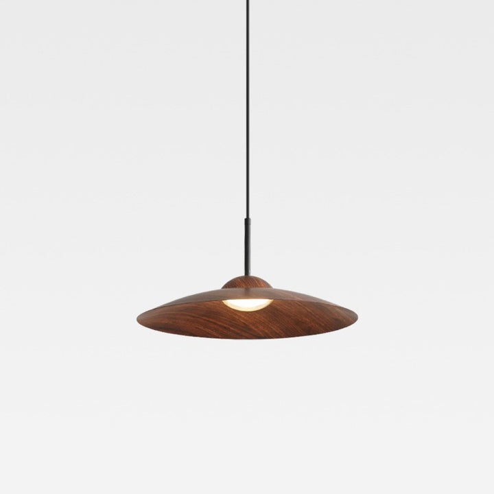Contemporary Nordic Disc Round Glass Iron LED Pendant Light For Living Room