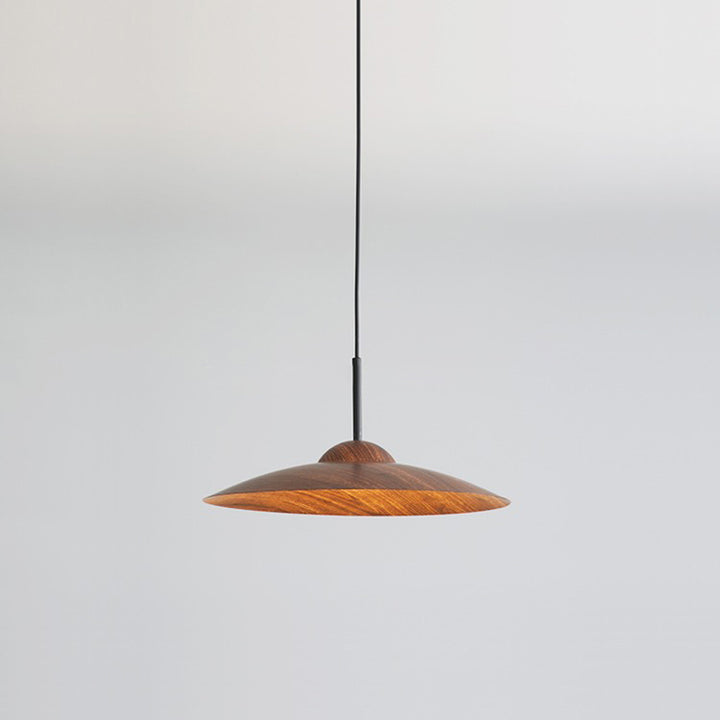 Contemporary Nordic Disc Round Glass Iron LED Pendant Light For Living Room