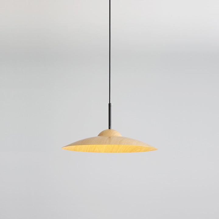Contemporary Nordic Disc Round Glass Iron LED Pendant Light For Living Room