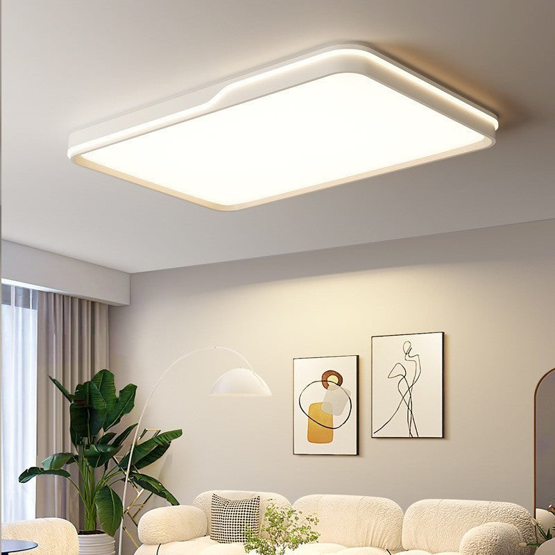 Modern Simplicity Round Square Rectangle Acrylic Iron LED Flush Mount Ceiling Light For Living Room