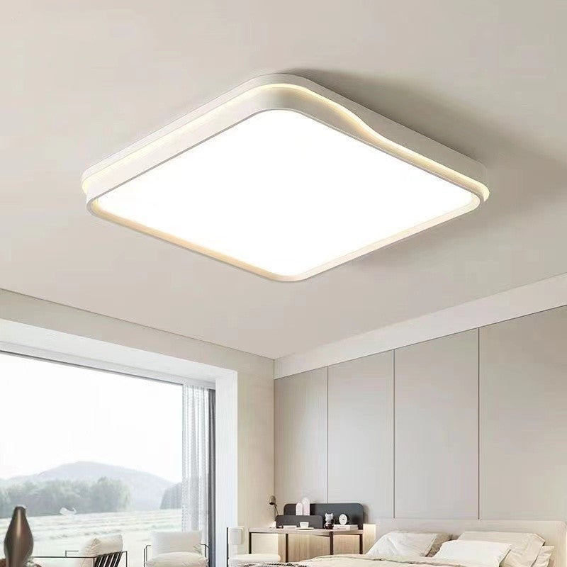 Modern Simplicity Round Square Rectangle Acrylic Iron LED Flush Mount Ceiling Light For Living Room