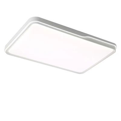 Modern Simplicity Round Square Rectangle Acrylic Iron LED Flush Mount Ceiling Light For Living Room