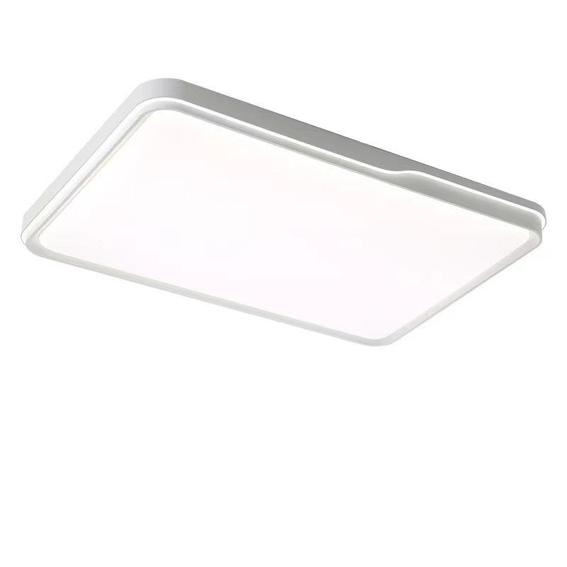 Modern Simplicity Round Square Rectangle Acrylic Iron LED Flush Mount Ceiling Light For Living Room
