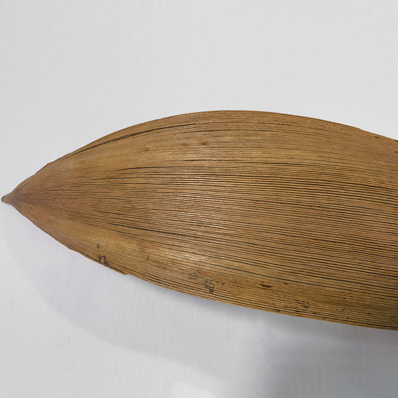 Suspension traditionnelle japonaise en feuille de cacao naturelle 1/2/3 lumière pour salle à manger 