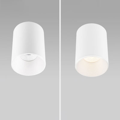 Modern Minimalist Aluminium Cylinder LED Flush Mount Ceiling Light For Hallway