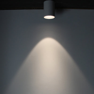 Modern Minimalist Aluminium Cylinder LED Flush Mount Ceiling Light For Hallway