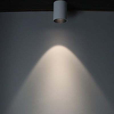 Modern Minimalist Aluminium Cylinder LED Flush Mount Ceiling Light For Hallway