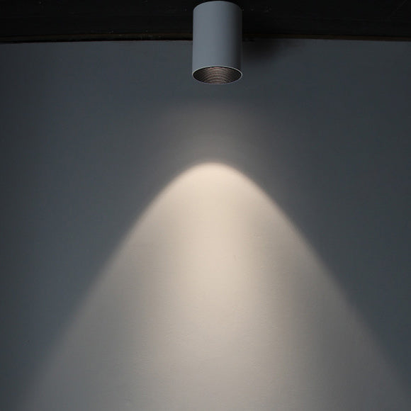 Modern Minimalist Aluminium Cylinder LED Flush Mount Ceiling Light For Hallway