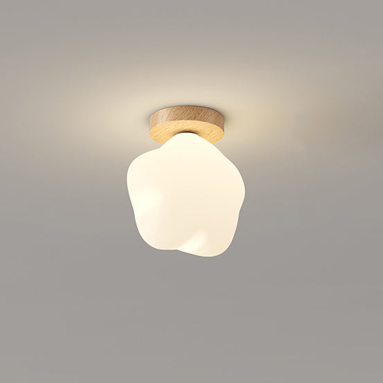 Zeitgenössische skandinavische Gummibaum PE Blume Stern LED Deckenleuchte für Flur 
