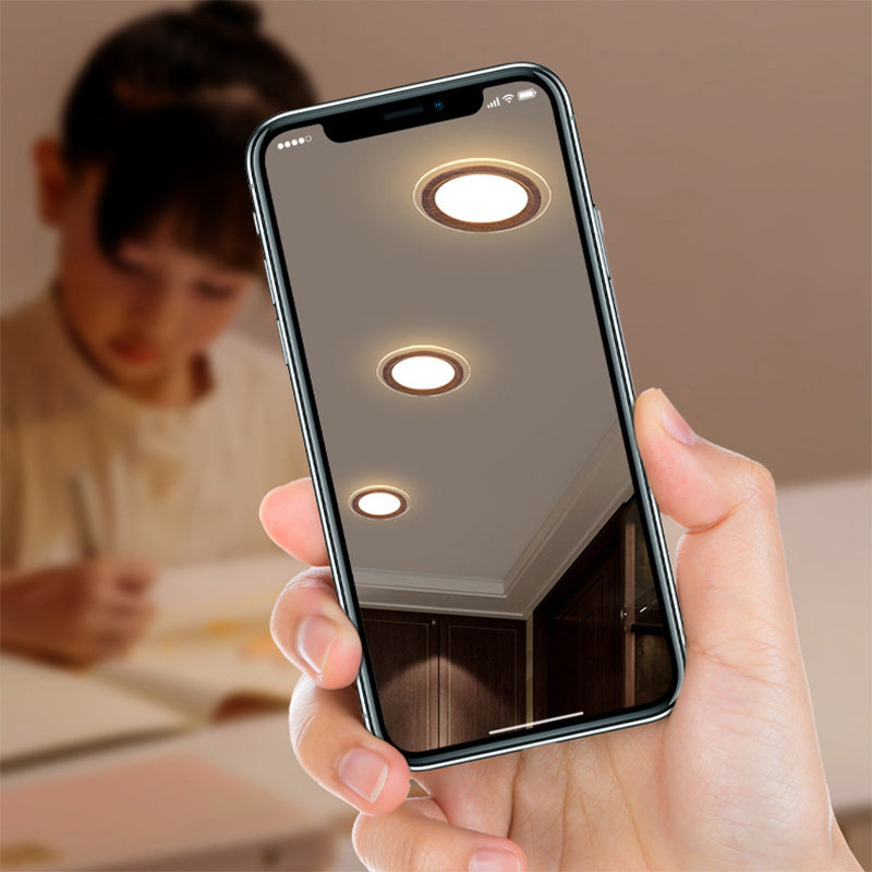 Plafonnier encastré LED en verre PMMA en aluminium rond traditionnel chinois pour salon 