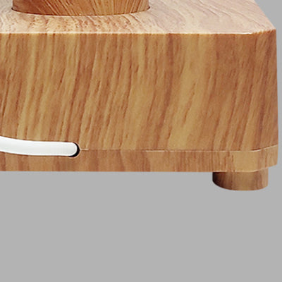 Zeitgenössische kreative USB-aufladbare ABS PET Rosenbirne LED Tischlampe Nachtlicht für Schlafzimmer 
