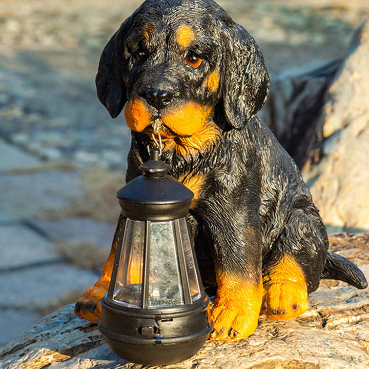 Ornement de chien en résine solaire créatif contemporain étanche LED éclairage paysager pour jardin 