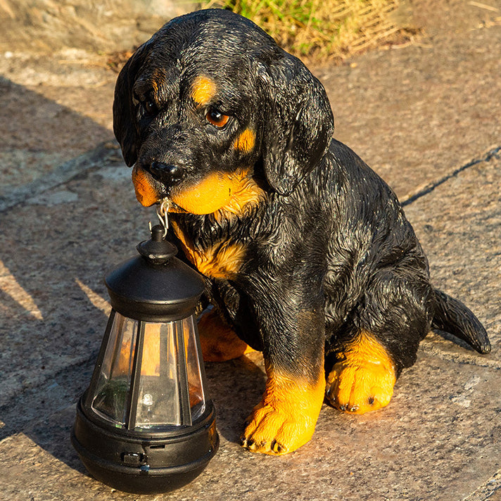 Ornement de chien en résine solaire créatif contemporain étanche LED éclairage paysager pour jardin 