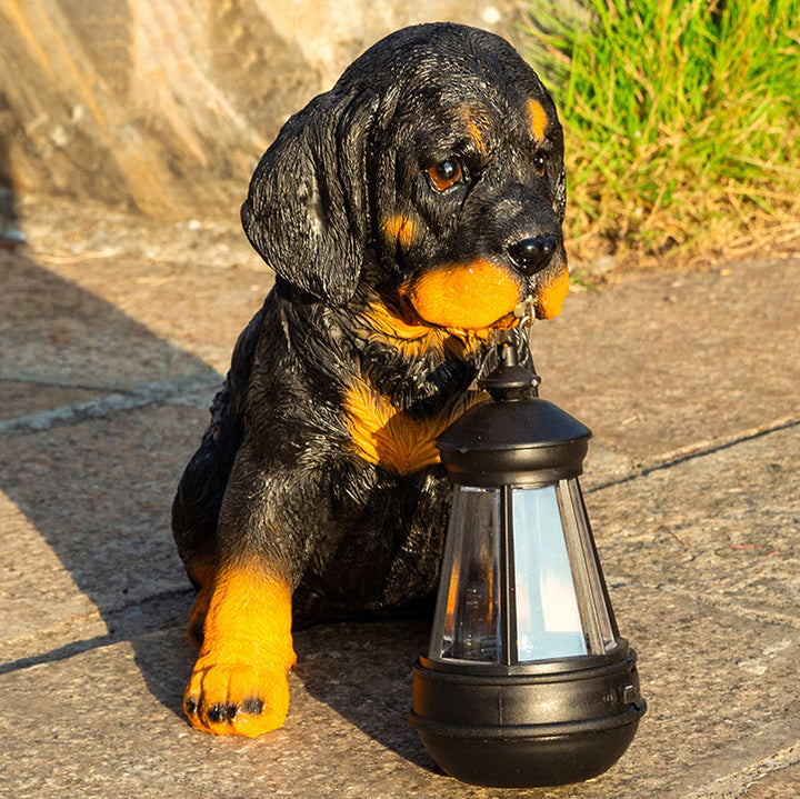 Ornement de chien en résine solaire créatif contemporain étanche LED éclairage paysager pour jardin 