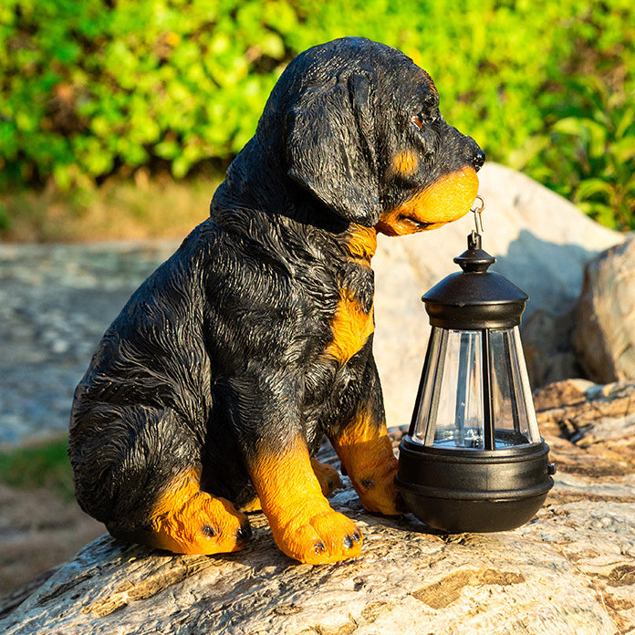 Ornement de chien en résine solaire créatif contemporain étanche LED éclairage paysager pour jardin 