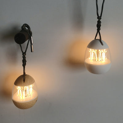 Contemporary Retro Rechargeable Aluminum Acrylic Egg Hanging LED Table Lamp Small Night Light For Bedroom