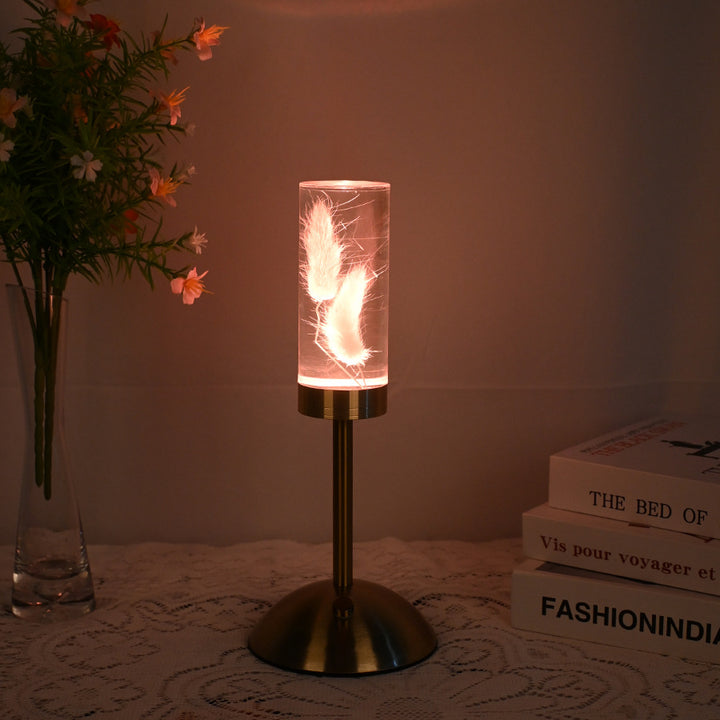 Zeitgenössische kreative USB-wiederaufladbare ewige Blume Gänseblümchen Löwenzylinder Eisen Acryl LED Tischlampe Nachtlicht für den Nachttisch 