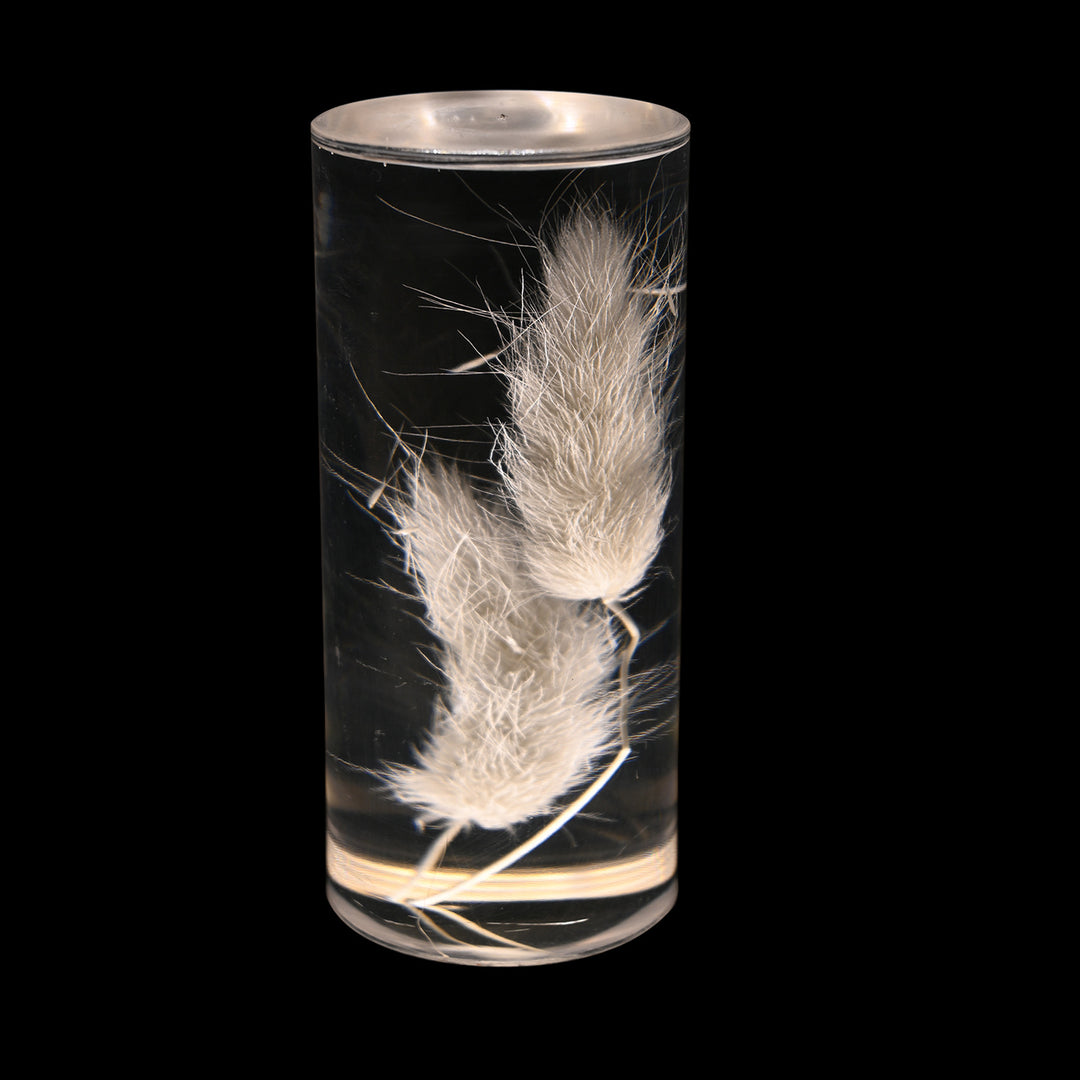 Zeitgenössische kreative USB-wiederaufladbare ewige Blume Gänseblümchen Löwenzylinder Eisen Acryl LED Tischlampe Nachtlicht für den Nachttisch 