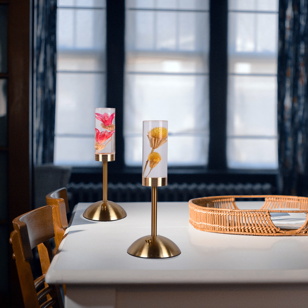 Zeitgenössische kreative USB-wiederaufladbare ewige Blume Gänseblümchen Löwenzylinder Eisen Acryl LED Tischlampe Nachtlicht für den Nachttisch 